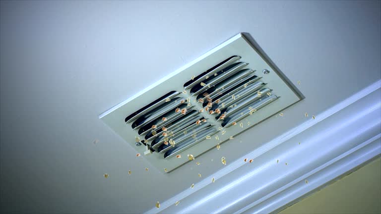Best Duct Cleaning for Offices  in Blissfield, MI