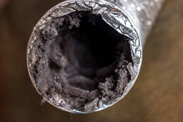 Best Best Air Duct Cleaning Company  in Blissfield, MI