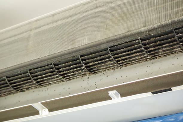 Best Ductwork Cleaning Services  in Blissfield, MI