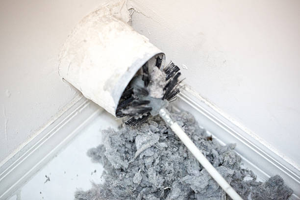 Best HVAC Duct Inspection Services  in Blissfield, MI